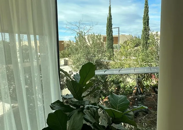 Elodie, Coast, Palasë